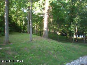 000 Brian 23, Murphysboro, IL 62966